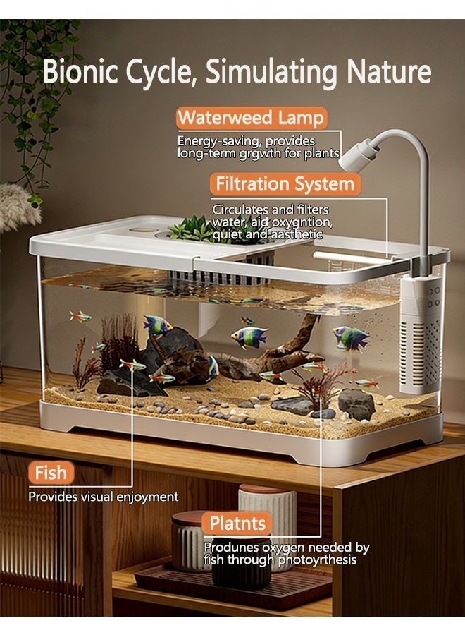 طقم حوض سمك بيئي فائق الوضوح بدقة ، حوض سمك بزاوية رؤية 360 درجة مزود بنظام ترشيح ومصباح نمو LED، حوض أسماك زينة طاولة مزود بفتحة زرع، مناسب لديكور أحواض السمك في المنزل والمتجر والمكتب (حجم متوسط) - Image 5