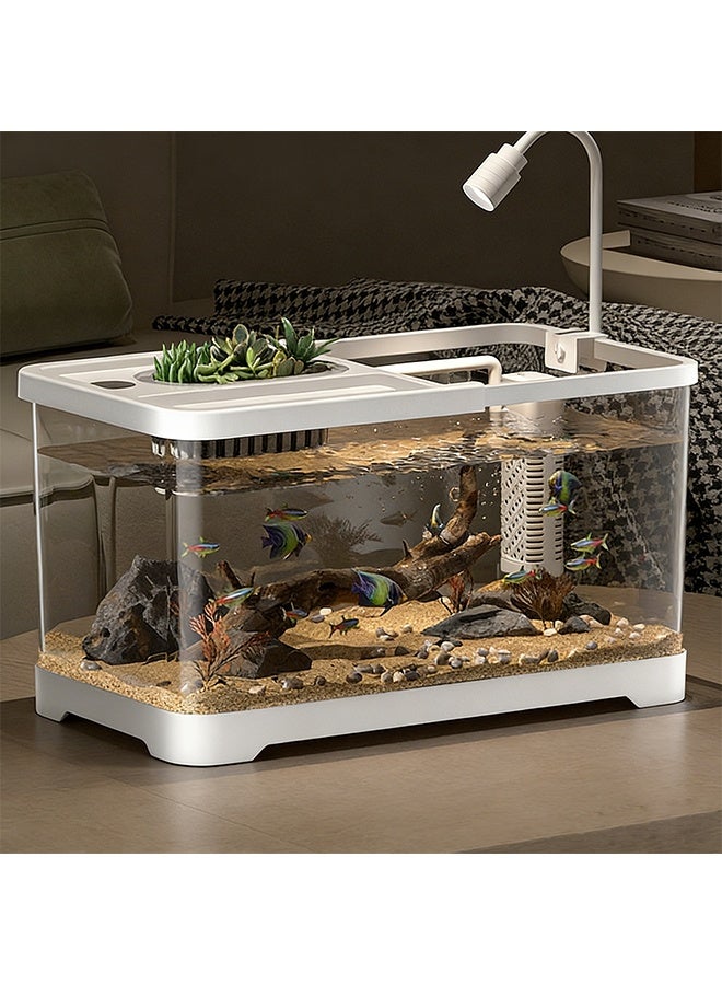 طقم حوض سمك بيئي فائق الوضوح بدقة ، حوض سمك بزاوية رؤية 360 درجة مزود بنظام ترشيح ومصباح نمو LED، حوض أسماك زينة طاولة مزود بفتحة زرع، مناسب لديكور أحواض السمك في المنزل والمتجر والمكتب (حجم متوسط) - Image 1