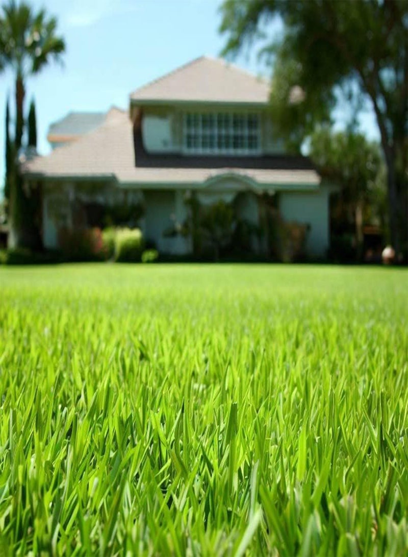 GGOOT Bahia, Bermuda, Grass Seeds for Lawn and Pasture, Livestock Grazing, Choose Color and Amount (1/2 g, Common Bermuda Coated & Unhulled) - Image 1