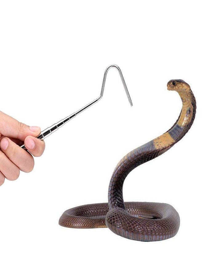 Asixxsix Reptile Catcher, Stainless Steel Reptile Capture Hook, Tough and for Moving Small Snakes Pet Shop Reptile Collecting Wild Snakes - Image 5