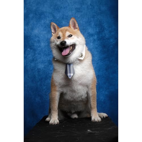 UrcTepics 8x10ft Dark Blue Senior Portrait Backdrop Professional Abstract Textured Photography Backdrop for Studio and Headshot - Image 5
