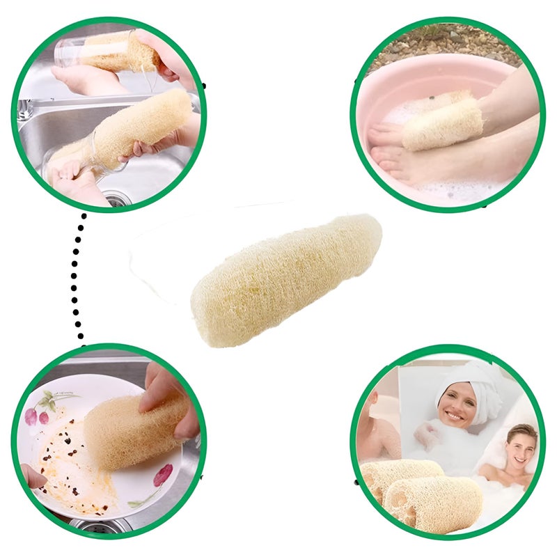 Natural Shower Luffa Sponge Body Scrubber | Luffa (Peerkangai) Bath scrub is Body Cleansing Removing Dead Skin Cells - Skin Care in Bath Spa Shower By SNKM (Pack of 2) - Image 5