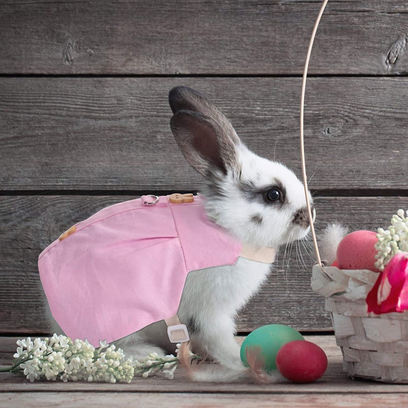 2 Sets Pet Clothes and Lovely Hat and Bag with Decoration - Image 1