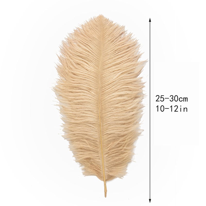 Ballinger Champagne Ostrich Feathers Bulk - 24pcs 10-12inch Boho Feathers for vase and Home Decor Wedding Party Centerpieces - Image 3