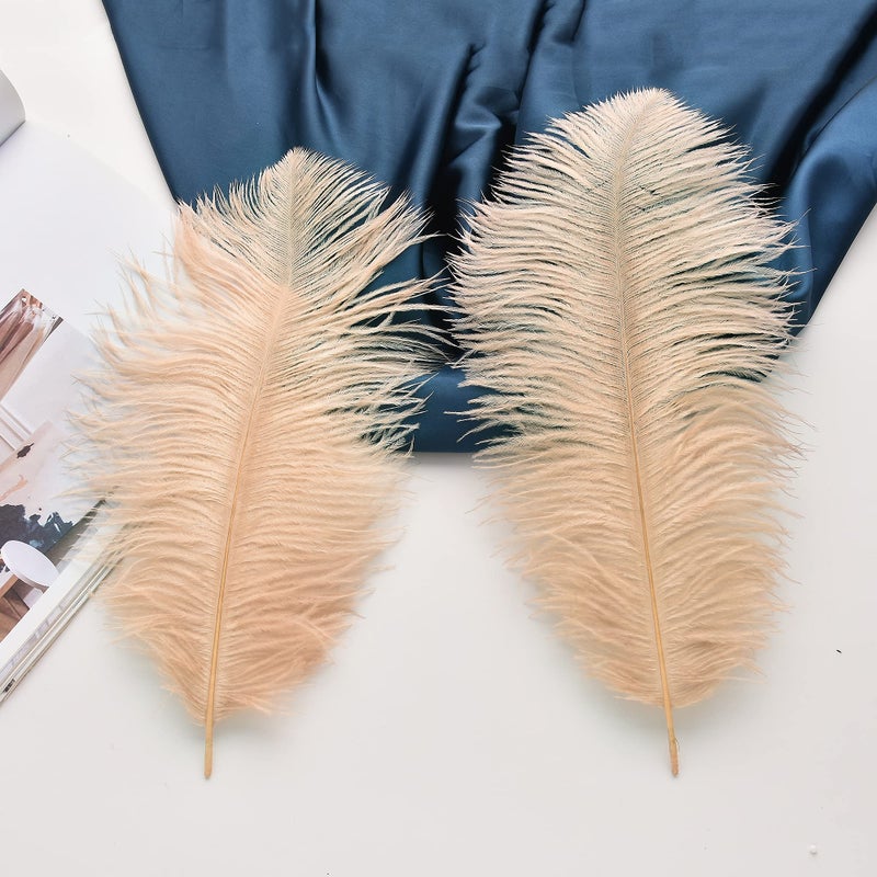 Ballinger Champagne Ostrich Feathers Bulk - 24pcs 10-12inch Boho Feathers for vase and Home Decor Wedding Party Centerpieces - Image 4