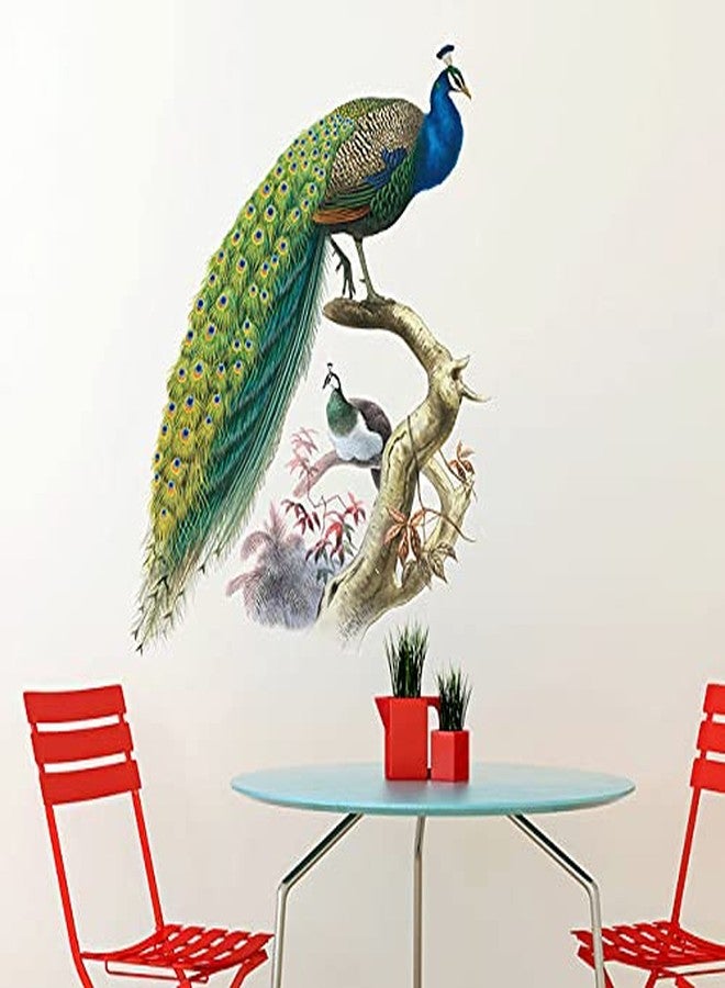 Walltech Set of 2 Wall Sticker Bird House On A Branch and Nature Peacock Wall Sticker - Image 3