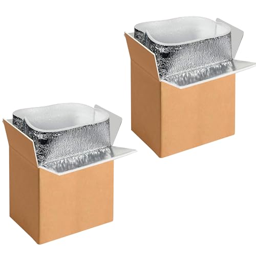 YSSOA 2 Pack Insulated Shipping Boxes with Aluminum Foil Liner,Thermal Insulation Cold Pack Shipping Boxes for Frozen, Reusable Styrofoam Cooler Box, Small Mailing Box, 6’’X5’’X9’’ - Image 1