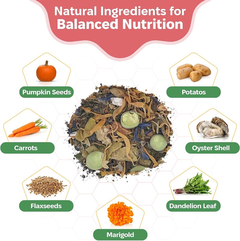 Snout and Shell Isopod Food A Bountiful Selection Crafted to Enrich Your Pet's Habitat and Diet (Garden Foraging Blend) - Image 3