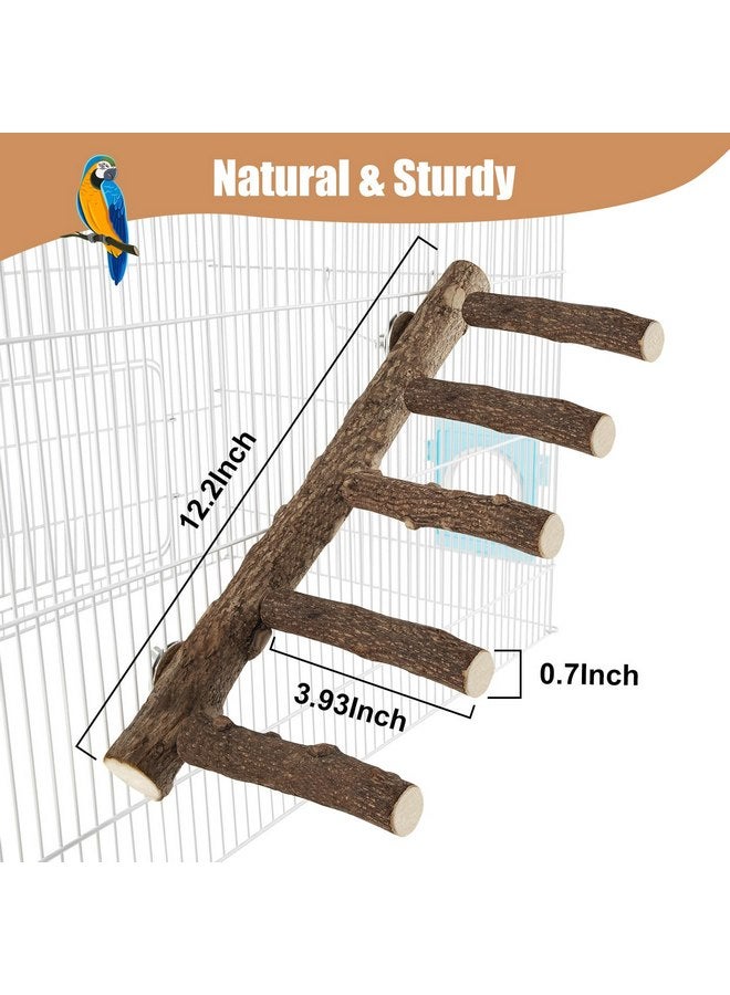 توريناليتال حامل خشبي للببغاء، مجثم ببغاء بطول 12.2 بوصة للقفص، سلم طيور طبيعي للببغاوات الصغيرة والمتوسطة الحجم، الببغاوات، الكوكتيلات، الكونيور، الهامستر - Image 2