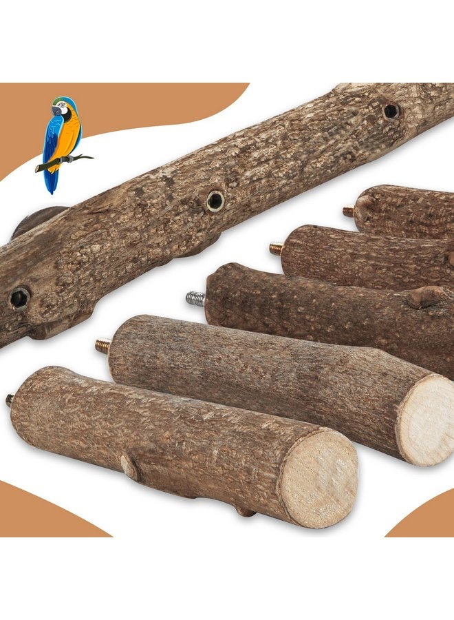 توريناليتال حامل خشبي للببغاء، مجثم ببغاء بطول 12.2 بوصة للقفص، سلم طيور طبيعي للببغاوات الصغيرة والمتوسطة الحجم، الببغاوات، الكوكتيلات، الكونيور، الهامستر - Image 4