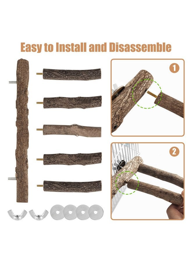 توريناليتال حامل خشبي للببغاء، مجثم ببغاء بطول 12.2 بوصة للقفص، سلم طيور طبيعي للببغاوات الصغيرة والمتوسطة الحجم، الببغاوات، الكوكتيلات، الكونيور، الهامستر - Image 5