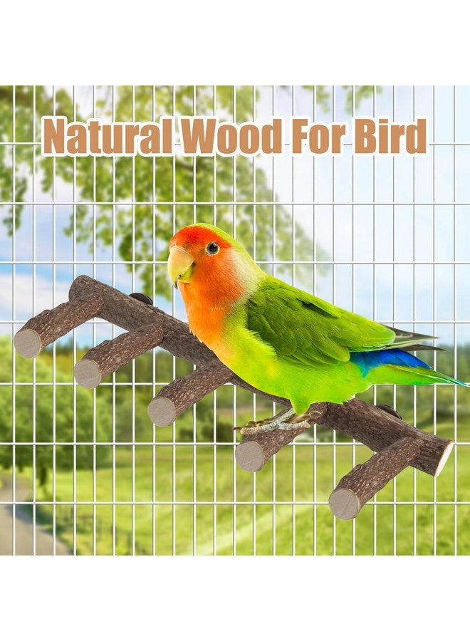 توريناليتال حامل خشبي للببغاء، مجثم ببغاء بطول 12.2 بوصة للقفص، سلم طيور طبيعي للببغاوات الصغيرة والمتوسطة الحجم، الببغاوات، الكوكتيلات، الكونيور، الهامستر - Image 3