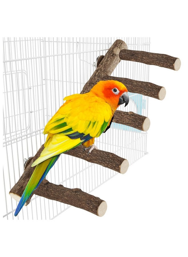 توريناليتال حامل خشبي للببغاء، مجثم ببغاء بطول 12.2 بوصة للقفص، سلم طيور طبيعي للببغاوات الصغيرة والمتوسطة الحجم، الببغاوات، الكوكتيلات، الكونيور، الهامستر - Image 1