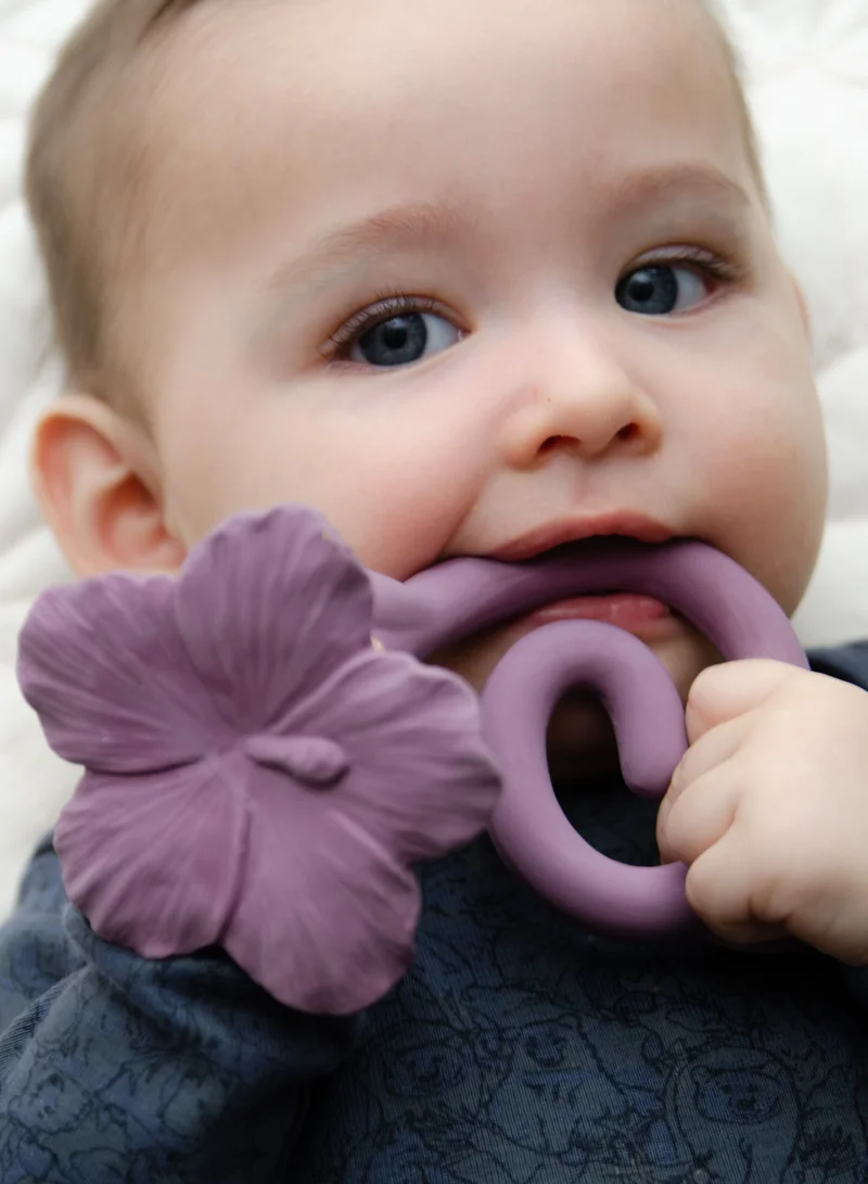 Natruba Natruba Teether Hawaii Flower - Purple