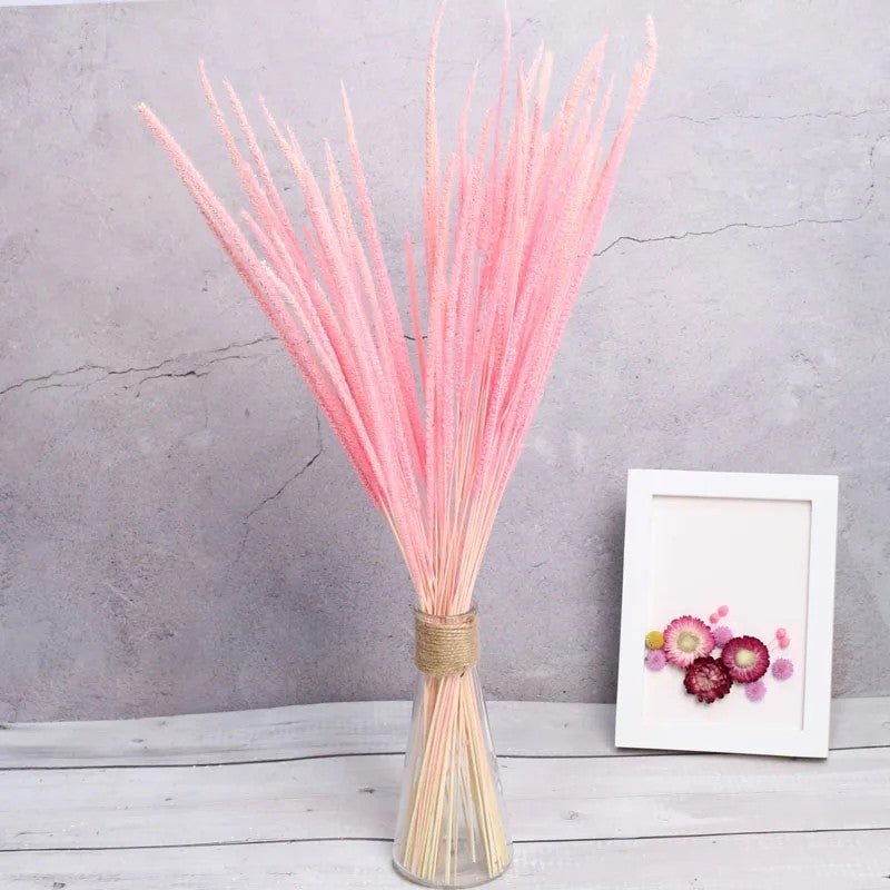Bluejw Colorful Dried Kirin Grass Flowers Set - Real Natural Unicorn Grass Cotton Setaria Pumila from New Zealand - Premium Dried Plants Arrangement - Image 3