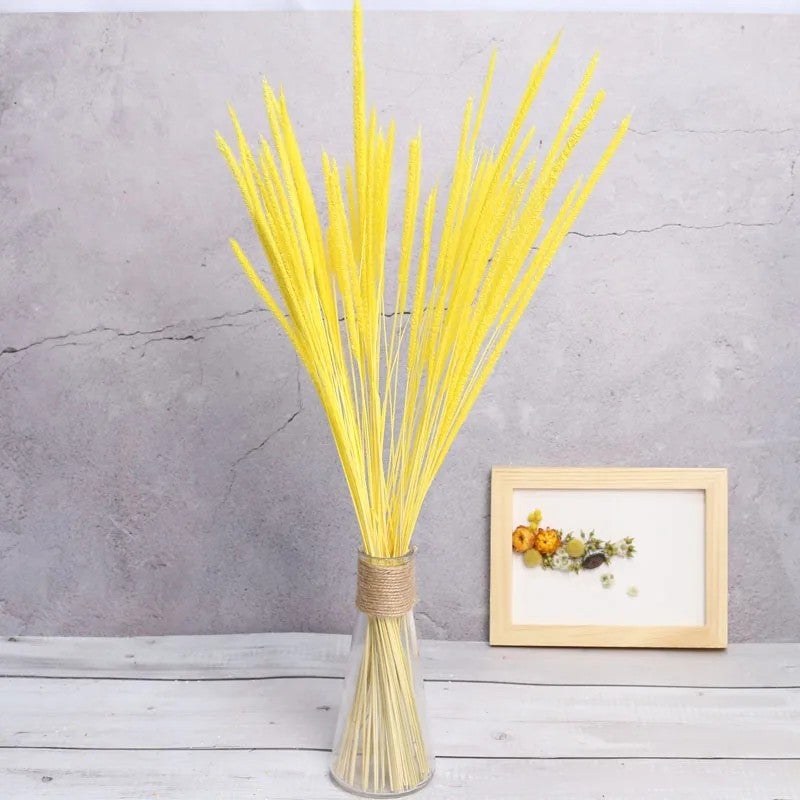 Bluejw Colorful Dried Kirin Grass Flowers Set - Real Natural Unicorn Grass Cotton Setaria Pumila from New Zealand - Premium Dried Plants Arrangement - Image 5