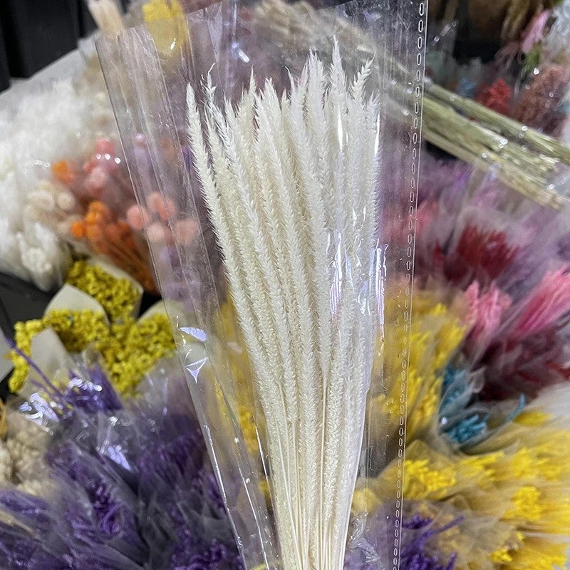 Bluejw Colorful Dried Kirin Grass Flowers Set - Real Natural Unicorn Grass Cotton Setaria Pumila from New Zealand - Premium Dried Plants Arrangement - Image 1