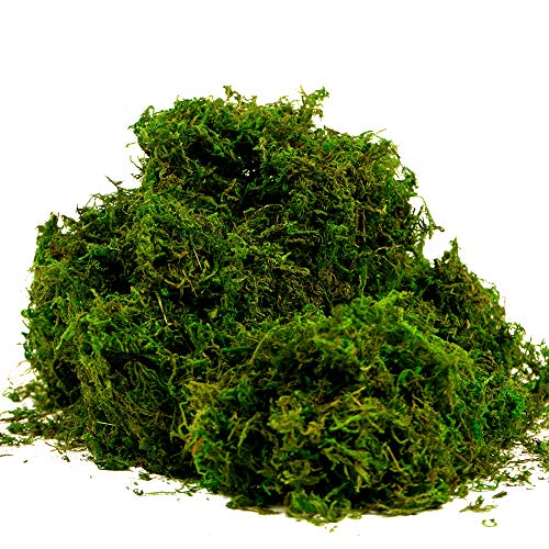 BYHER Artificial Moss Fake Green Grass for Centerpieces Home Kitchen Garden Decor (8OZ, Fresh) - Image 1