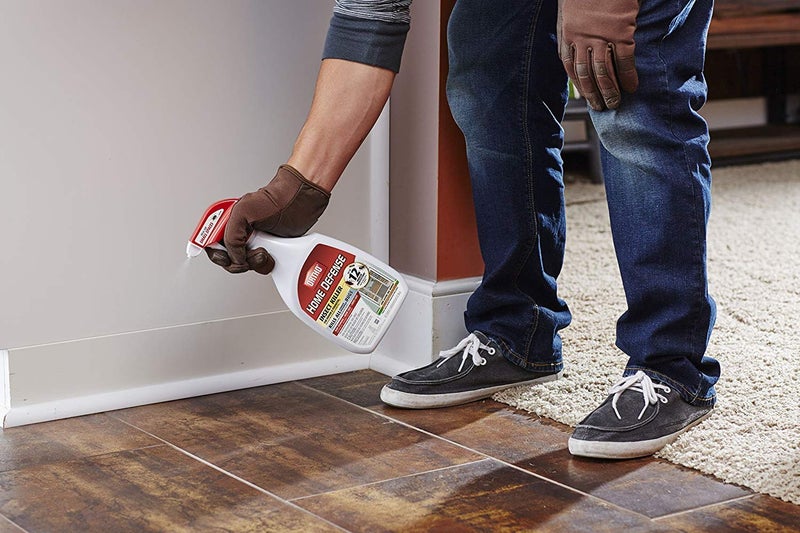 Ortho Home Defense Max Insect Killer, 24-oz pack of 2 - Image 2