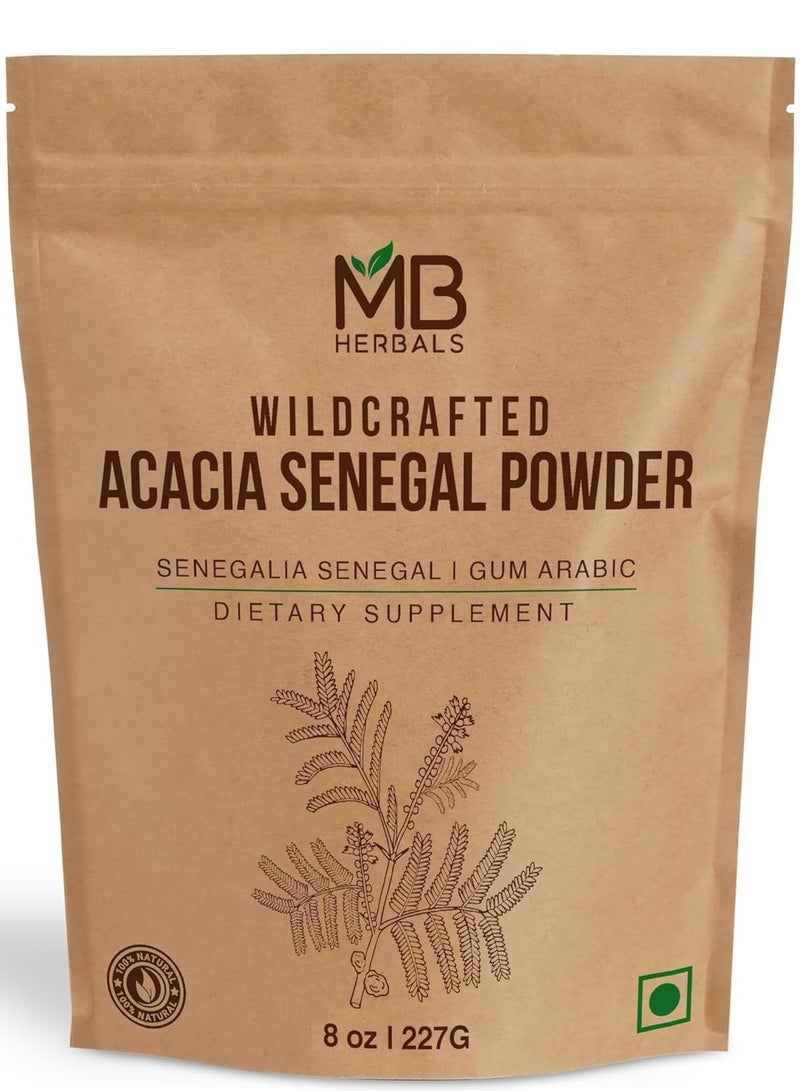 MB Herbals Wildcrafted Acacia Senegal Powder, 8 oz - Image 1