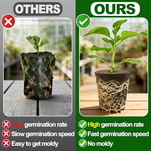 Bigmeta 100 Pcs Rooting Sponges, Starter Plugs for Seedlings or Cuttings, Rapid for Soil, Tray or Planting Pods Plant Rooter, Promotes Herbs Vegetable Flowers Growth - Image 3