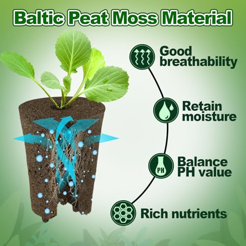 Bigmeta 100 Pcs Rooting Sponges, Starter Plugs for Seedlings or Cuttings, Rapid for Soil, Tray or Planting Pods Plant Rooter, Promotes Herbs Vegetable Flowers Growth - Image 4