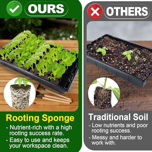Bigmeta 100 Pcs Rooting Sponges, Starter Plugs for Seedlings or Cuttings, Rapid for Soil, Tray or Planting Pods Plant Rooter, Promotes Herbs Vegetable Flowers Growth - Image 2