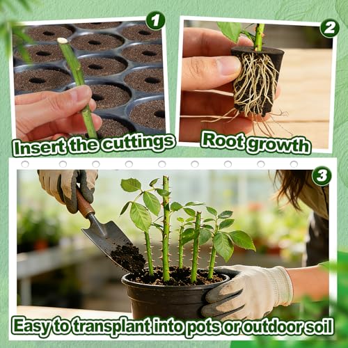 Bigmeta 100 Pcs Rooting Sponges, Starter Plugs for Seedlings or Cuttings, Rapid for Soil, Tray or Planting Pods Plant Rooter, Promotes Herbs Vegetable Flowers Growth - Image 5