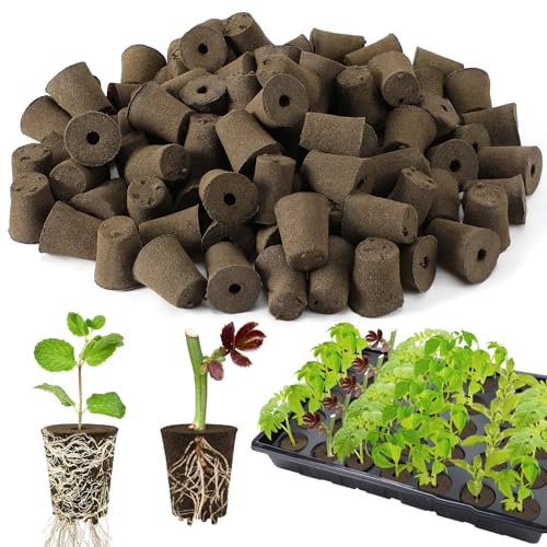 Bigmeta 100 Pcs Rooting Sponges, Starter Plugs for Seedlings or Cuttings, Rapid for Soil, Tray or Planting Pods Plant Rooter, Promotes Herbs Vegetable Flowers Growth - Image 1