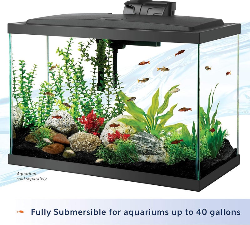 Aqueon Preset Aquarium Heater Black, 50 Watts - Image 4