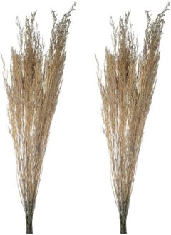 Yatai 2Pcs Natural Preserved Pampas Grass, Dried Caspia Flower For Vase Filling, Eco-Friendly, Long-Lasting Boho Decor Dried Flowers, Natural Dried Pampas Grass For Home Decor, Office Decor (Gray) - pzsku/ZECFCD44CD661D837A1A0Z/45/_/1716820228/ccdfc0ad-94ce-4c70-aa75-78c305849687