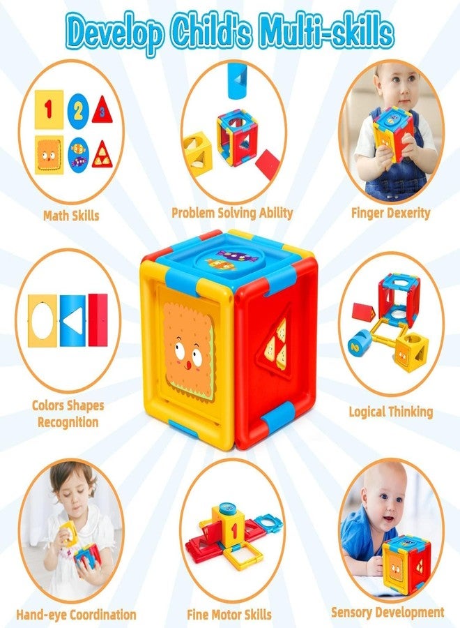 Ixora Shape Sorter, Baby Activity Logic Cube, Infant Developmental Educational Learning Toys for 1 Year Old Kids (Multi Color) - Image 2