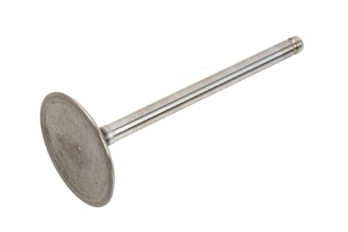 GM Genuine Parts 12563063 Engine Intake Valve - Image 1