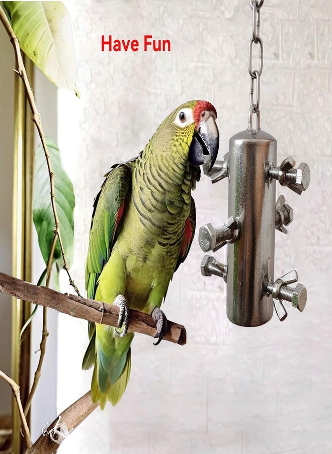JSLZF Stainless Steel Parrot Toy, Hanging African Grey Chew Toy for Bird, Large Bird Toy for Macaw, Foraging Bird Toy for Conure, Cockatoo, African Grey - Image 2