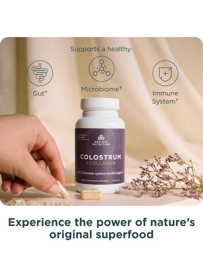 Ancient Nutrition غذاء قديم كولستروم سوبر فود + كولاجين، كولستروم بقر مرعى، كولاجين غشاء بيض مخمر، يدعم ميكروبيوم الأمعاء الصحي والجهاز المناعي، 75 عد - Image 2