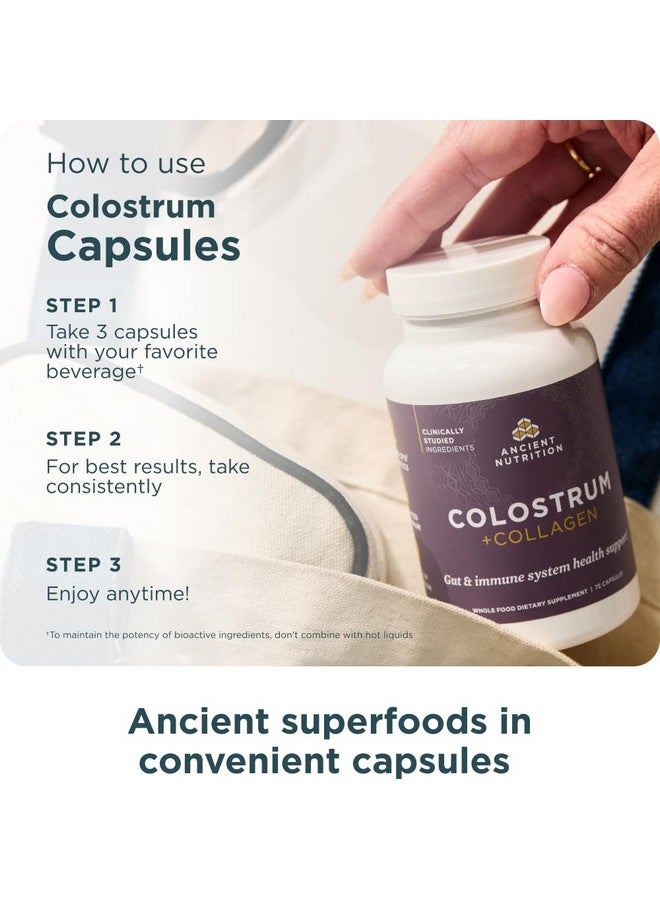 Ancient Nutrition غذاء قديم كولستروم سوبر فود + كولاجين، كولستروم بقر مرعى، كولاجين غشاء بيض مخمر، يدعم ميكروبيوم الأمعاء الصحي والجهاز المناعي، 75 عد - Image 4