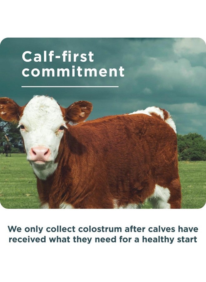 Ancient Nutrition غذاء قديم كولستروم سوبر فود + كولاجين، كولستروم بقر مرعى، كولاجين غشاء بيض مخمر، يدعم ميكروبيوم الأمعاء الصحي والجهاز المناعي، 75 عد - Image 5