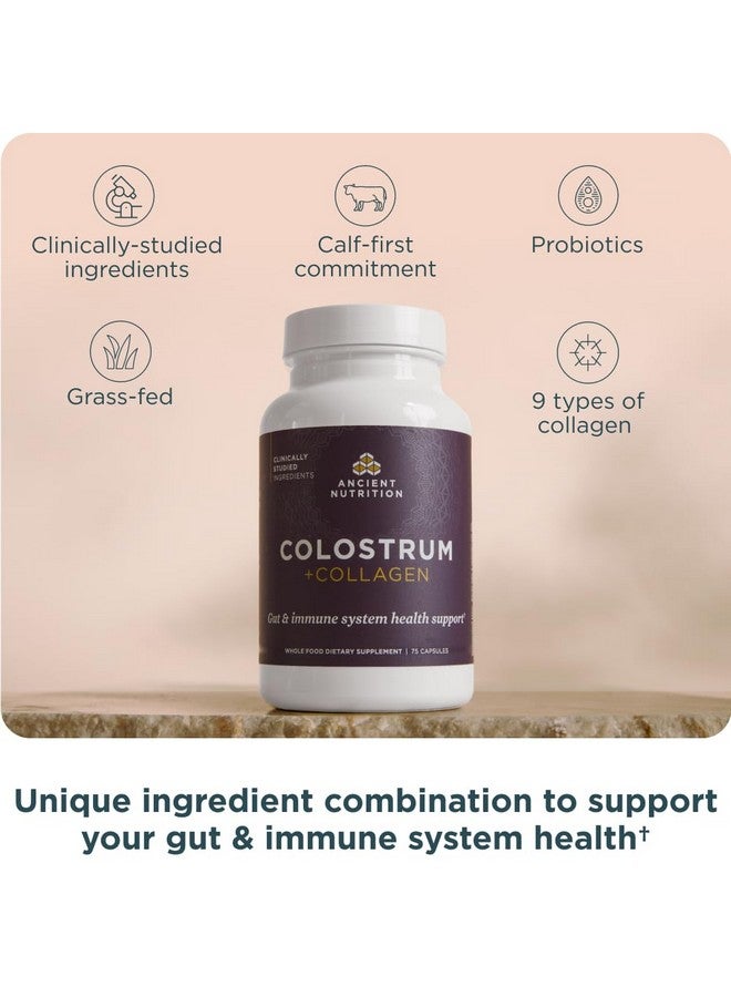 Ancient Nutrition غذاء قديم كولستروم سوبر فود + كولاجين، كولستروم بقر مرعى، كولاجين غشاء بيض مخمر، يدعم ميكروبيوم الأمعاء الصحي والجهاز المناعي، 75 عد - Image 3