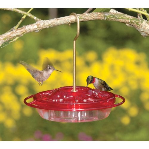 Aspects 382 HummZinger Little Fancy Feeder, 8-Ounce, Small - Image 2