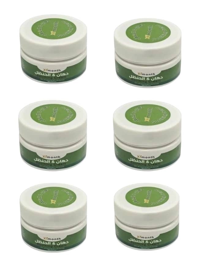 ximonth Original Colocynth Ointment, 6 pieces