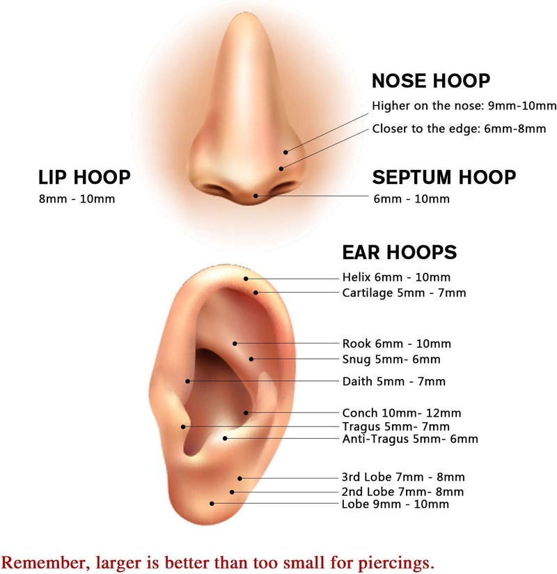 FUNLMO Store 20G 18G 16G 12G Nose Ring Hoop Conch Rook Daith Helix Tragus Piercing Jewelry 316L Surgical Steel Cartilage Earring Conch Hoop Earring Septum Jewelry Belly Lip Ring 5mm to 14mm - Image 5