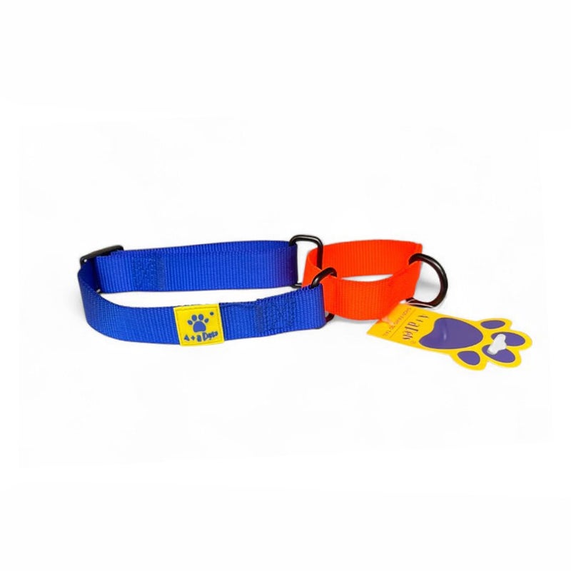 A+a Pets ’ Martingale Dog Collar | No Pull Design, No Neck Strain, No Choke Design | for Large & Medium Dogs | Rust Free, Waterproof Nylon Training Collar (Blue & Orange) - Image 1