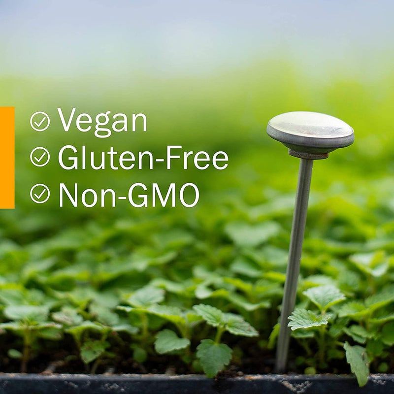 Herb Pharm Intestinal Tract Defense Liquid Herbal Formula with Wormwood Liquid Extract - 1 Ounce, Brown (FITRC01) - Image 5