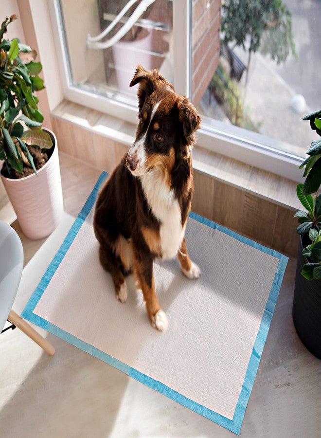 BESTLE Pet Training and Puppy Pads Pee Pads for Dogs 22"x22" Super Absorbent & Leak-Proof - Image 3