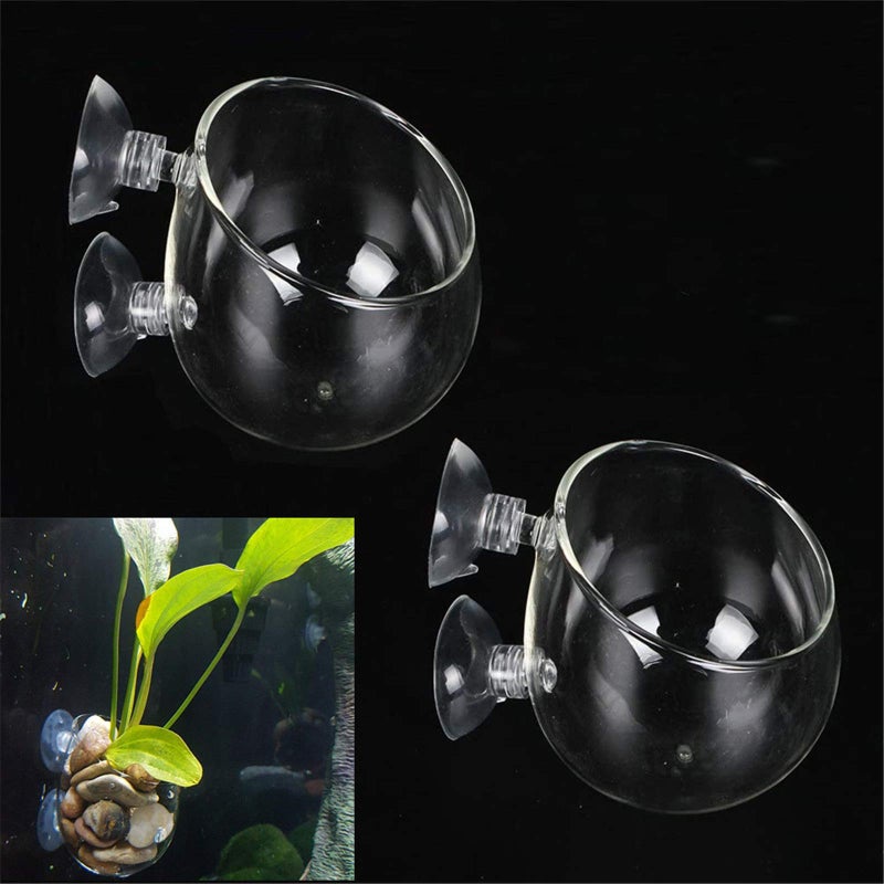 Fellibay Aquatic Plant Holders Bonsai Pots Clear Aquarium Tanks BareBottom Tanks Shrimp Glass Pots Fish Tanks with 2 Suckers for Home Fish Aquarium Furniture Decor 2 Pcs - Image 3
