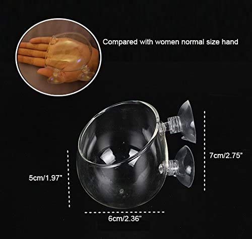 Fellibay Aquatic Plant Holders Bonsai Pots Clear Aquarium Tanks BareBottom Tanks Shrimp Glass Pots Fish Tanks with 2 Suckers for Home Fish Aquarium Furniture Decor 2 Pcs - Image 5
