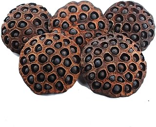 NWFashion NWFashion 5PCS Decorative Vase Filter Natural Lotus Pods with Seeds (12-14CM)  - Image 1