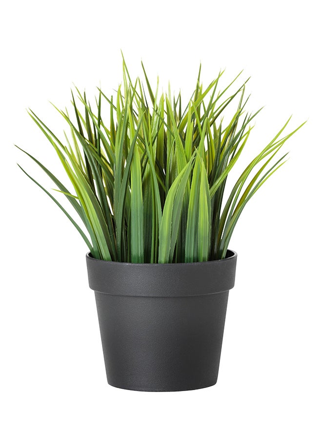 Artificial Decorative Plant Green/Black 10.5centimeter - Image 1