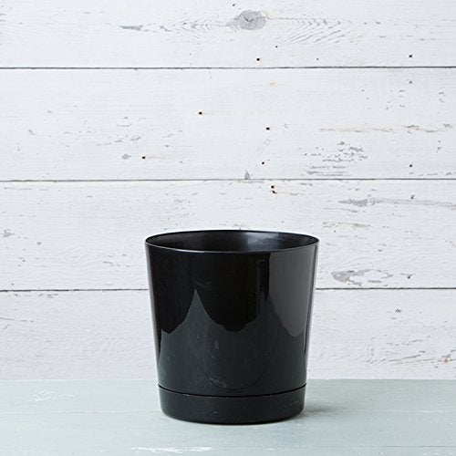 Root & Vessel Novelty Majestic Full Depth Round Cylinder Pot, Glossy Black, 12-Inch (10128) - Image 3