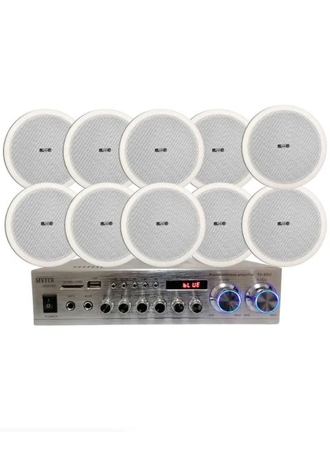 Sound System 10 ceiling speakers, amplifier